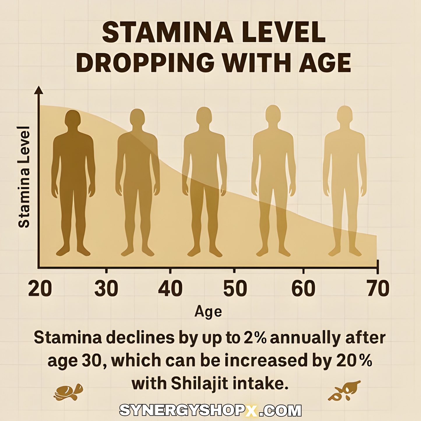 SYNERGY X PURE HIMALAYAN SHILAJIT GOLD GUMMIES