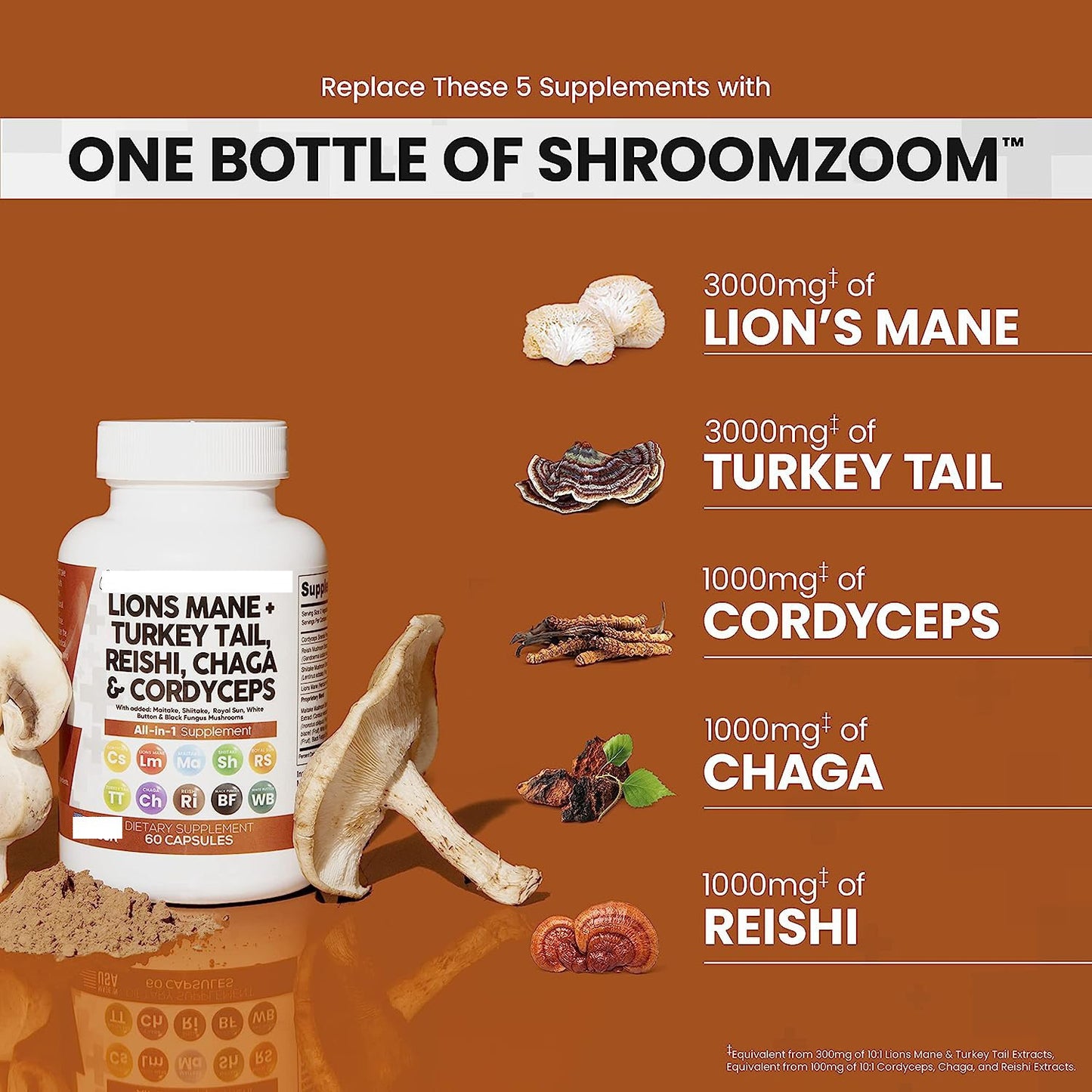 SYNERGY+ LION'S MANE, TURKEY TAIL, REISHI, CHAGA & CORDYCEPS