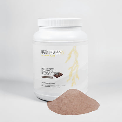 Synergy + Plant Protein (Chocolate) - Wellness Blend