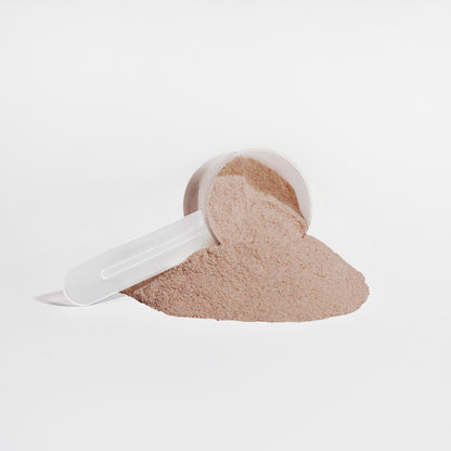 PLANT PROTEIN (Chocolate)