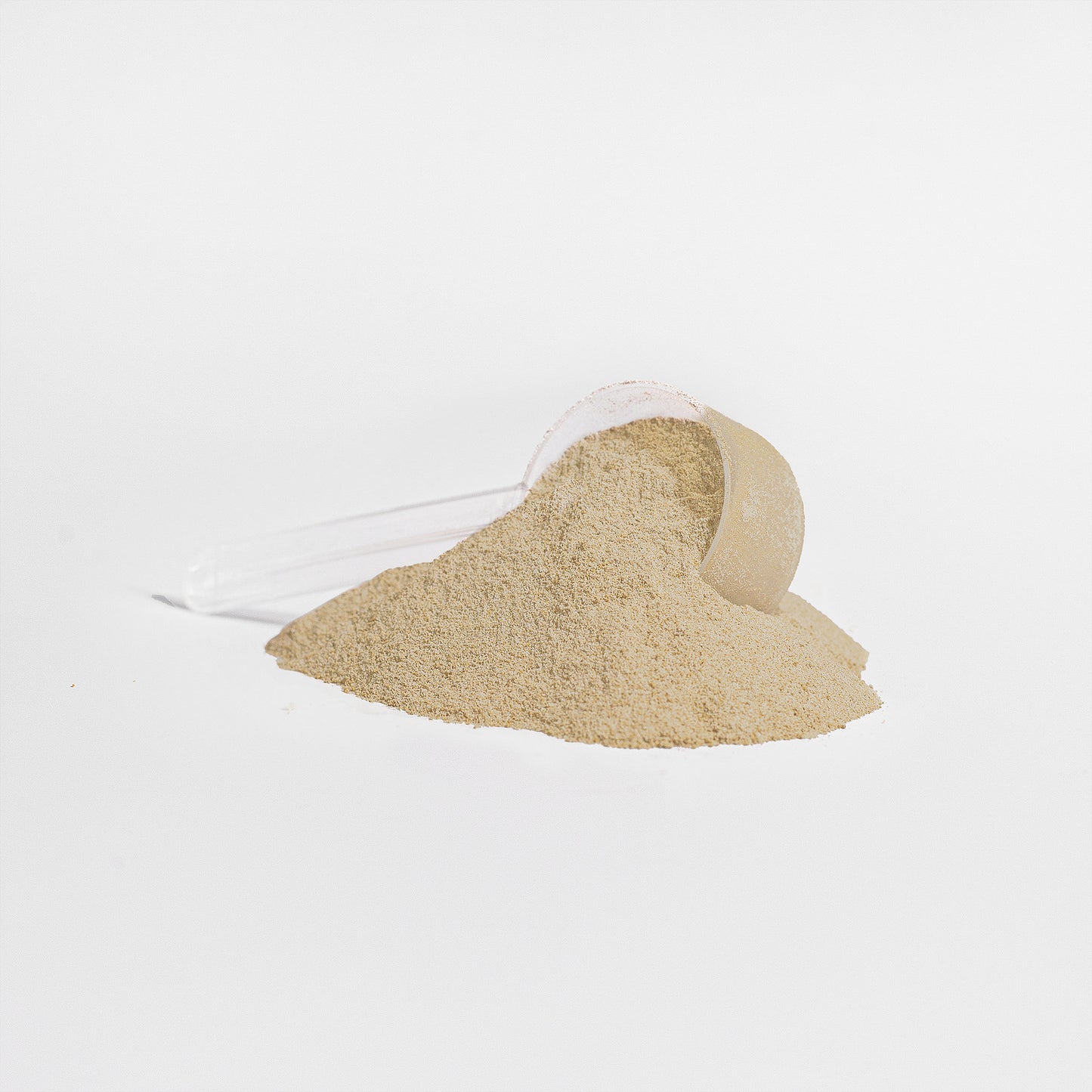 ADVANCED 100% WHEY PROTEIN ISOLATE (Vanilla)