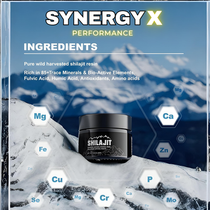 SYNERGY X SHILAJIT RESIN