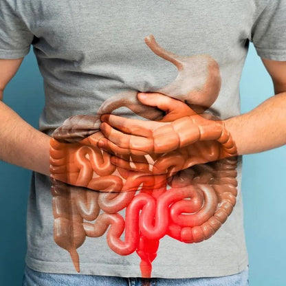SYNERGY™  - GUT SUPPORT CAPSULE