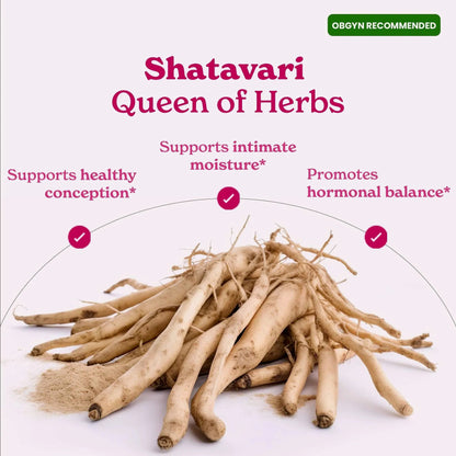 SYNERGY X SHE-LAJIT HONEY STICKS