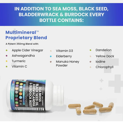 SYNERGY+ MULTI-MINERAL SEA MOSS BLACK SEED