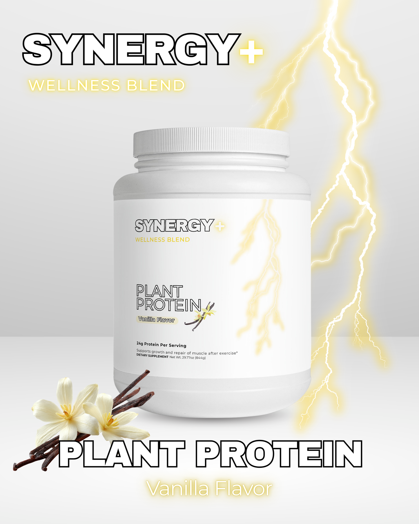 PLANT PROTEIN (Vanilla)