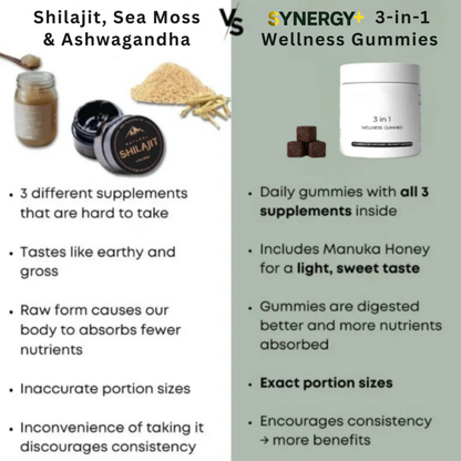 3-in-1 Wellness Gummies