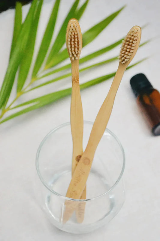 BAMBOO BRISTLE TOOTHBRUSH (PACK OF 2)