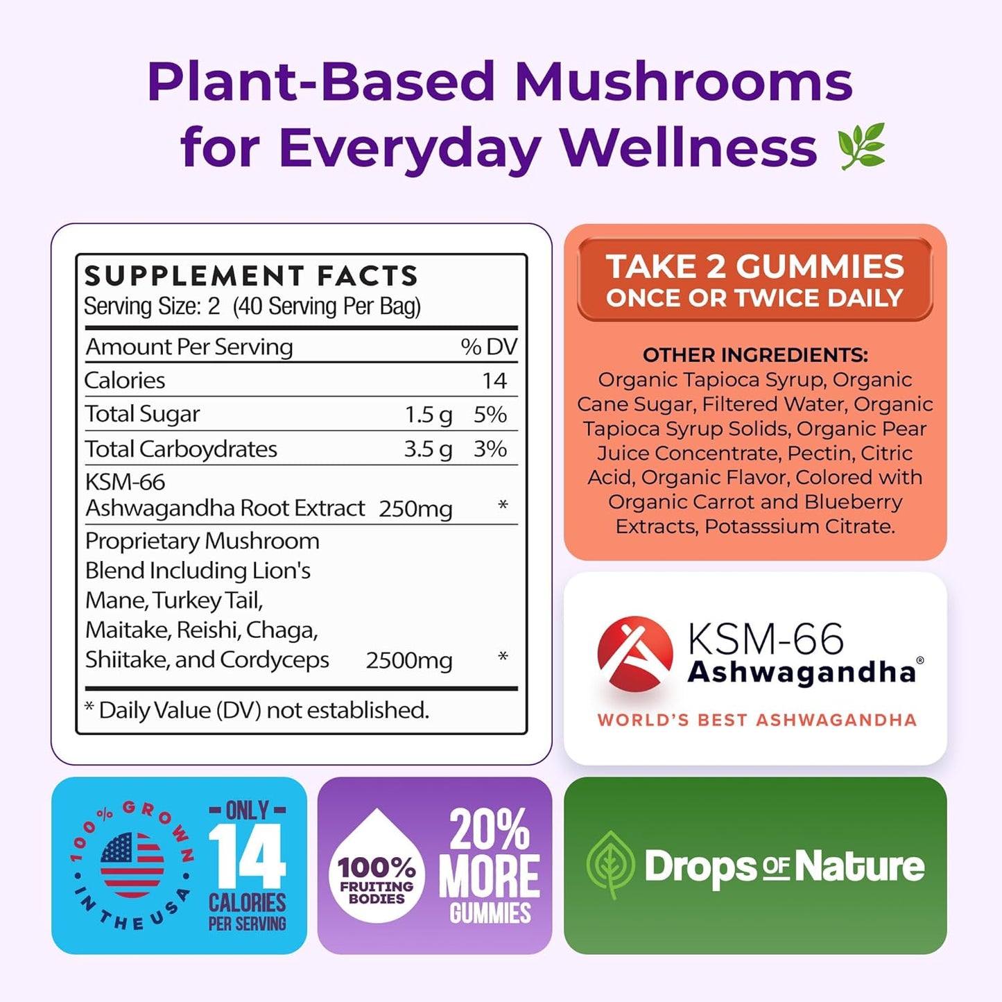 MUSHROOM ASHWAGANDHA GUMMIES
