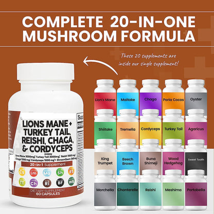 Synergy™ Lions Mane + Turkey Tail, Reishi, Chaga & Cordyceps