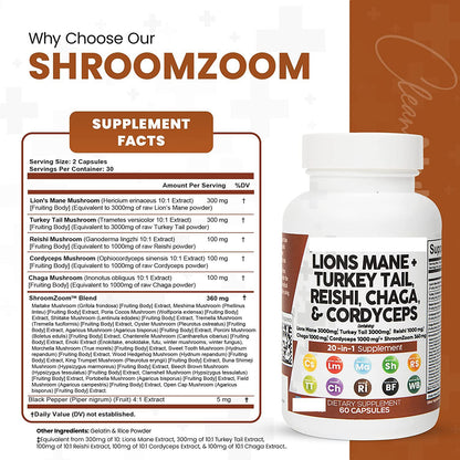 Synergy™ Lions Mane + Turkey Tail, Reishi, Chaga & Cordyceps