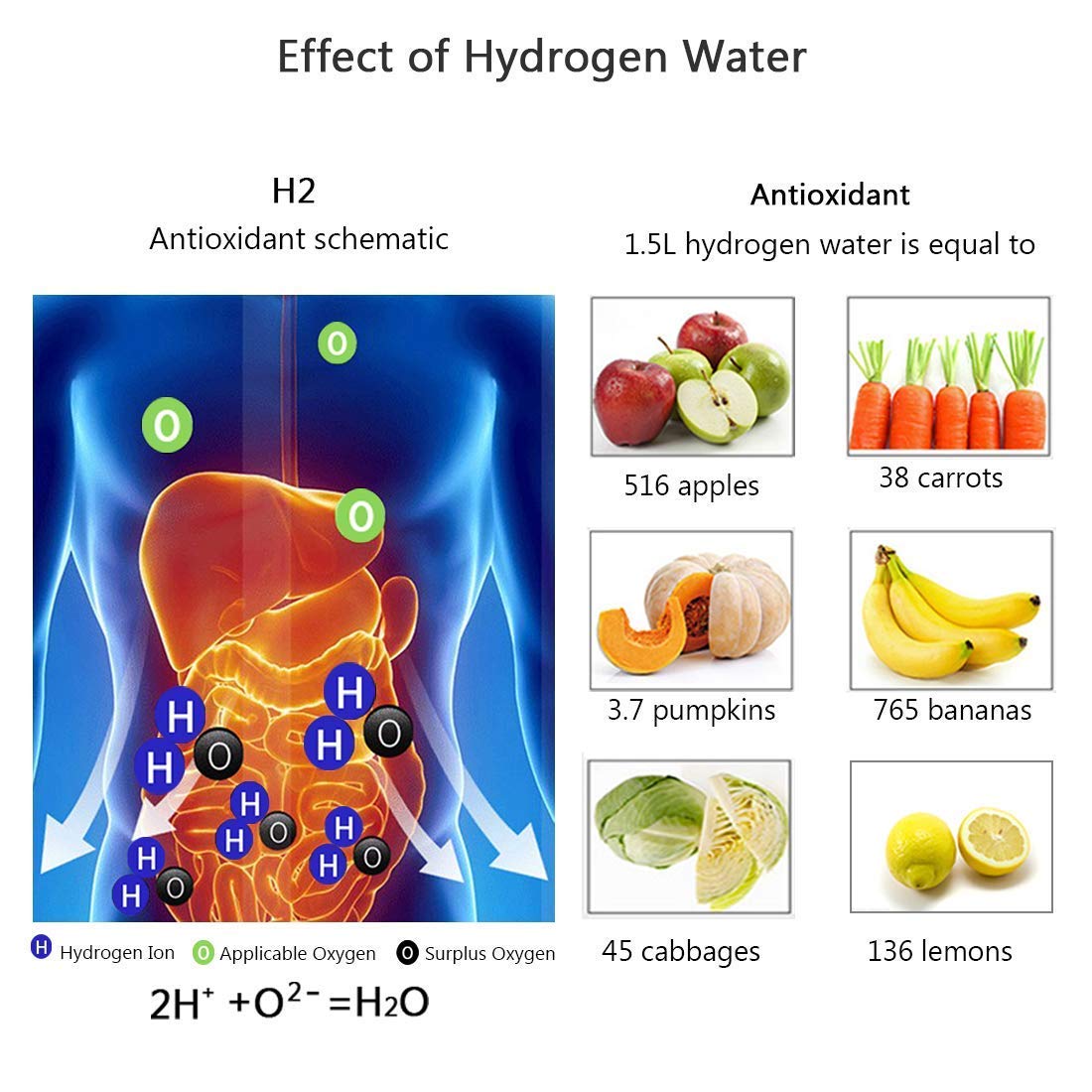 SYNERGY™ HYDROGEN WATER BOTTLE